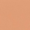 RAL 3012 Rosso beige