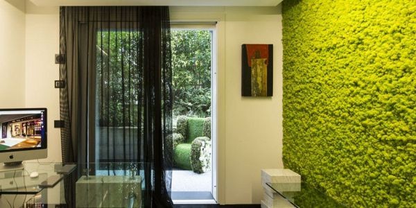 Arredare con le piante: i quadri verdi!